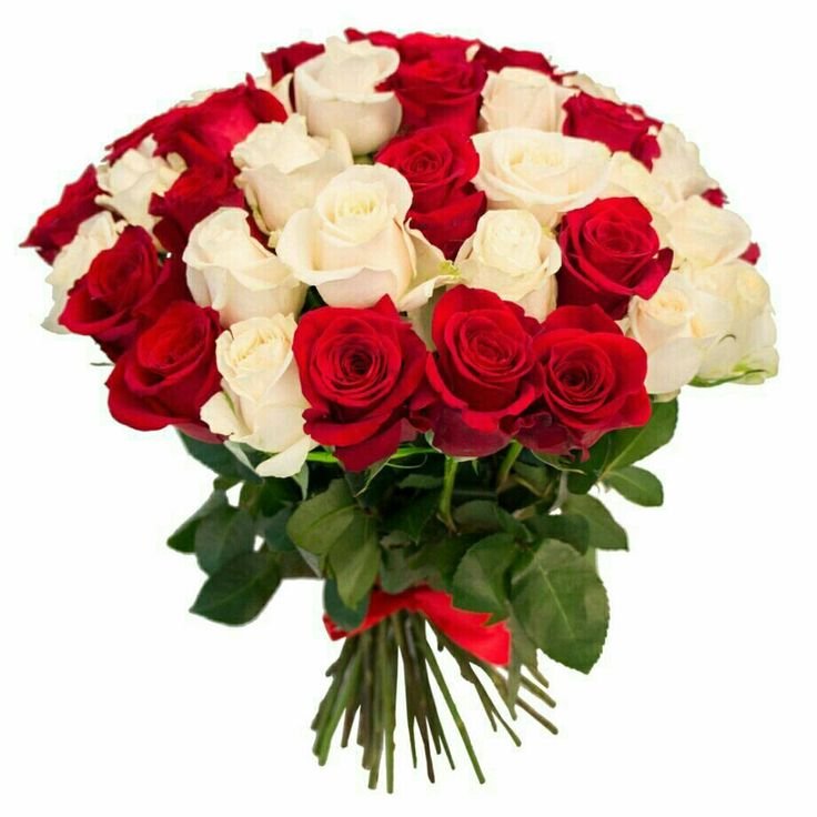 Red & White Roses Bouquet 2 Best flower delivery service in Amman Jordan with same day flower delivery for all occasions