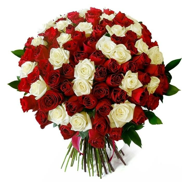 100 Red & White Roses Bouquet 2 Best flower delivery service in Amman Jordan with same day flower delivery for all occasions