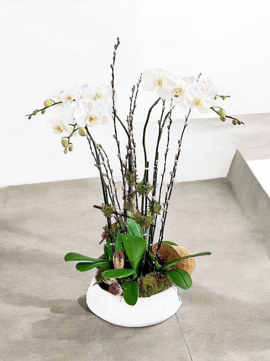 Royal White Orchid Bowl 2 Best flower delivery service in Amman Jordan with same day flower delivery for all occasions