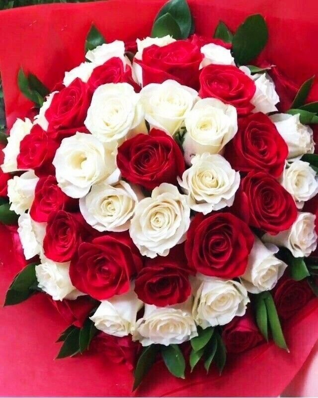 Elegant Red & White Roses 2 Best flower delivery service in Amman Jordan with same day flower delivery for all occasions