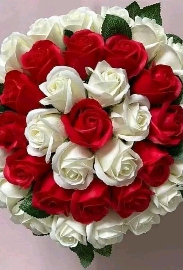 Elegant Red & White Roses 3 Best flower delivery service in Amman Jordan with same day flower delivery for all occasions