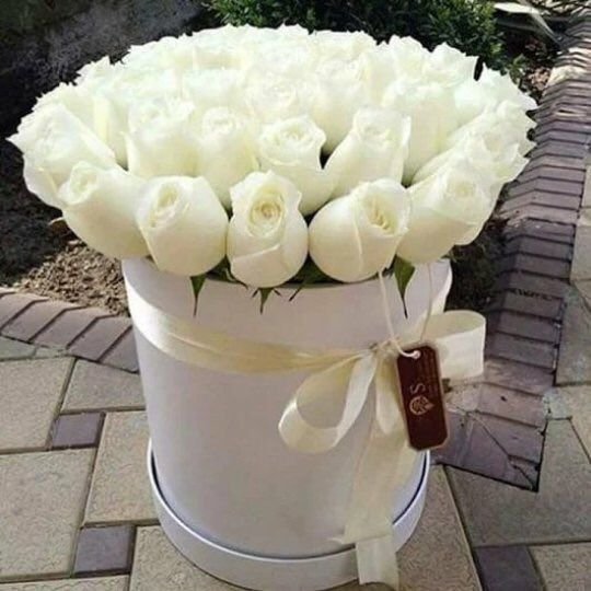 Snowflake Blossom Box 2 Best flower delivery service in Amman Jordan with same day flower delivery for all occasions