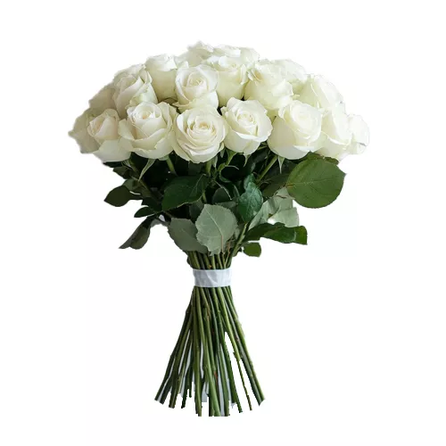 White Roses Bouquet 2 Best flower delivery service in Amman Jordan with same day flower delivery for all occasions