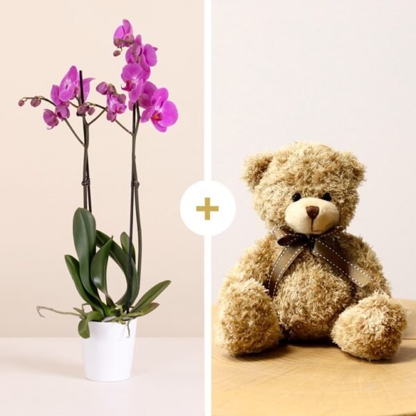 Best flower delivery service in Amman Jordan with same day flower delivery for all occasions