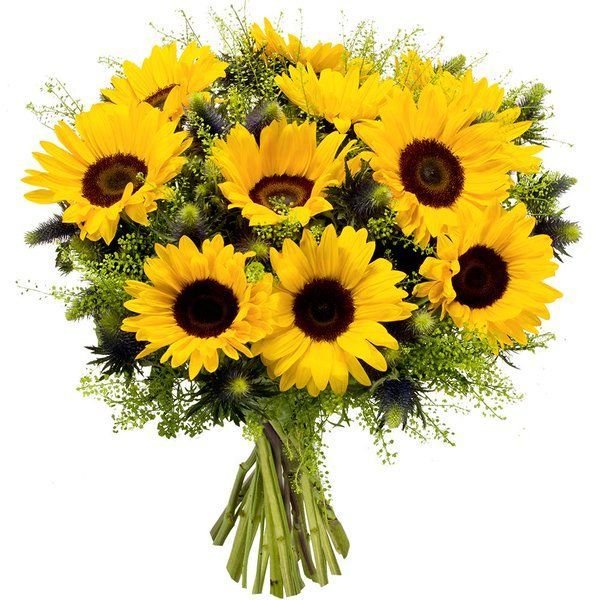 Sunny Blooms 1 أفضل خدمة توصيل ورد في عمان الأردن - توصيل في نفس اليوم لجميع المناسبات