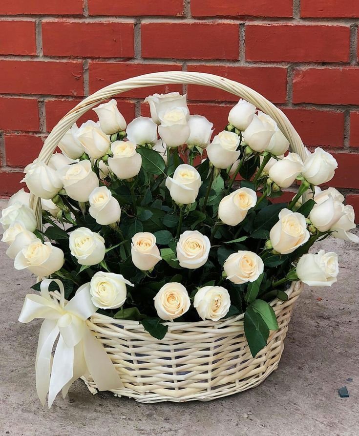 Pure Harmony Basket 1 أفضل خدمة توصيل ورد في عمان الأردن - توصيل في نفس اليوم لجميع المناسبات