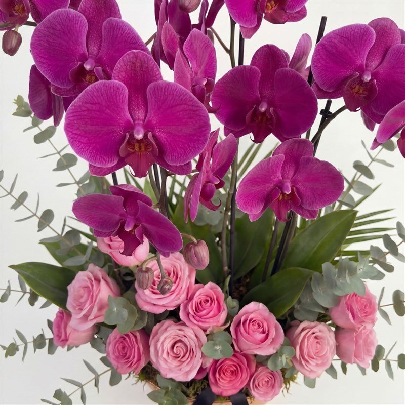 Orchid & Rose Vase 2 أفضل خدمة توصيل ورد في عمان الأردن - توصيل في نفس اليوم لجميع المناسبات