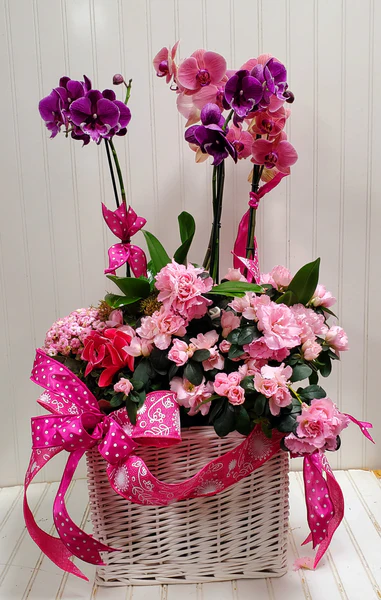 Orchid Bloom Basket 2 أفضل خدمة توصيل ورد في عمان الأردن - توصيل في نفس اليوم لجميع المناسبات