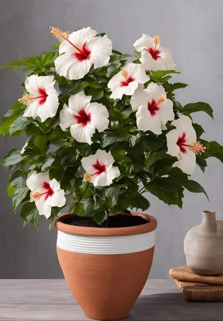 bd98ab5113f3282f5a7aa35e0afb6930 Best Flower Delivery in Amman (2026 Guide) - WowWard ورد وهدايا عمان