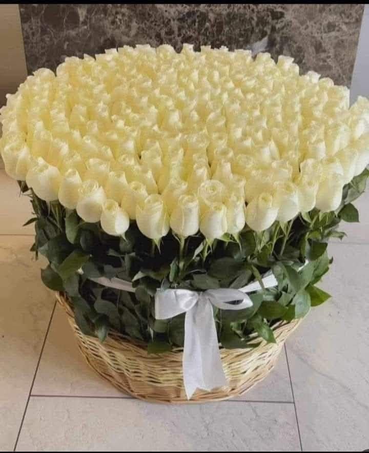 لماذا يعتبر الورد أفضل هدية لكل المناسبات؟ 🌼