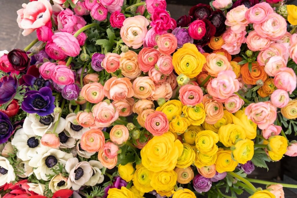 دليل الهدايا الشامل في الأردن – كل مناسبة ولها هديتها 🎁✨ 3 photo 1587317997383 2e6c1b24040f دليل الهدايا الشامل في الأردن – كل مناسبة ولها هديتها 🎁✨ - WowWard ورد وهدايا عمان